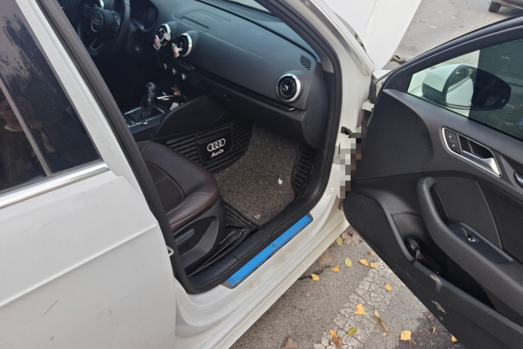 奥迪A3 2019款 Sportback 35 TFSI 时尚型 国VI局部细节9005