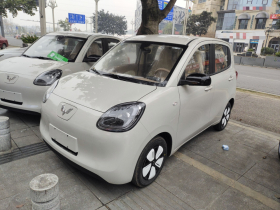 五菱汽车 宏光MINIEV 2025款 四门版 进阶款