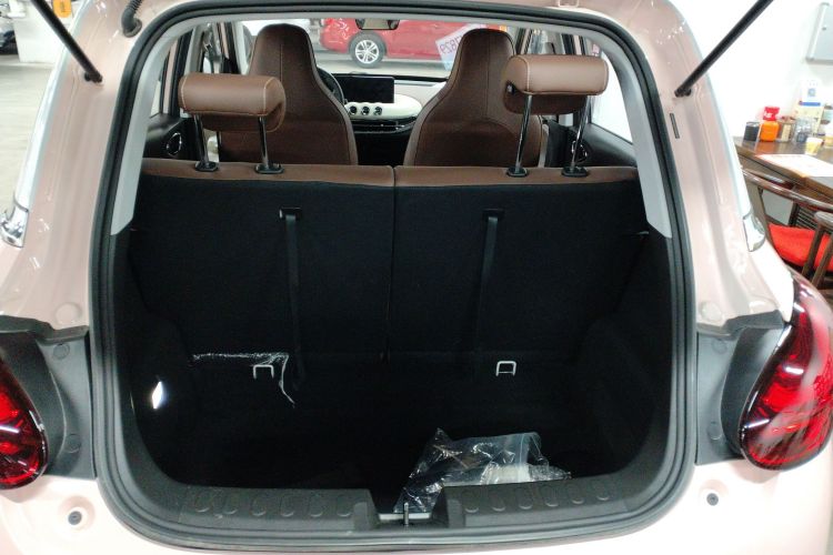 五菱汽车 五菱缤果 2023款 410km 灵犀尊享款局部细节23