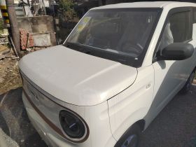 吉利银河 2024款 熊猫mini 200km 耐力熊