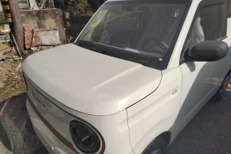 吉利银河 2024款 熊猫mini 200km 耐力熊