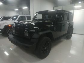 212 T01 2024款 2.0T 机械师