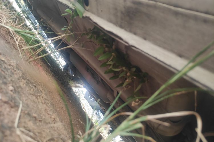 长安 逸动 2016款 XT 1.6L 自动俊酷型局部细节9003