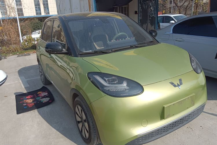 五菱汽车 五菱缤果 2023款 333km 灵犀互联款车身外观3