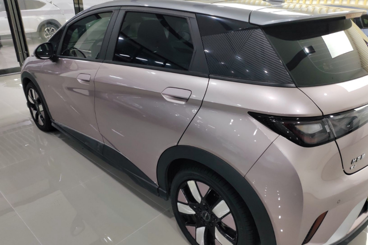 比亚迪 海豚 2021款 401km 骑士版车身外观4