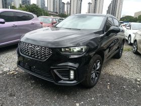 魏牌 VV5 2021款 1.5T 两驱智先锋