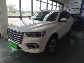 哈弗H6 2020款 1.5GDIT 自动铂金豪华版