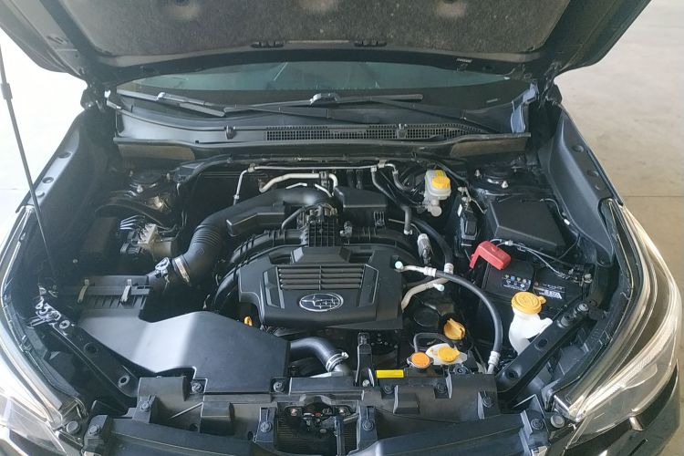 斯巴鲁 森林人 2020款 2.0i 豪华版机舱底盘24