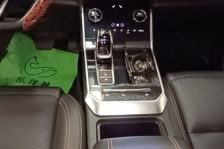 奇瑞 瑞虎8 2019款 1.6TGDI 自动豪华型中控内饰18