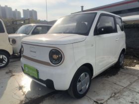 吉利银河 2024款 熊猫mini 200km 耐力熊