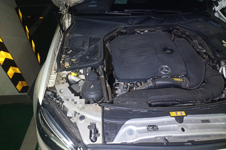 奔驰C级 2021款 C 260 L 运动星耀臻藏版局部细节9006