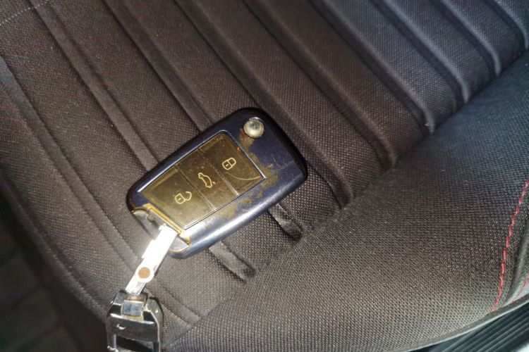 大众 朗逸 2023款 300TSI DSG星空满逸版中控内饰7001