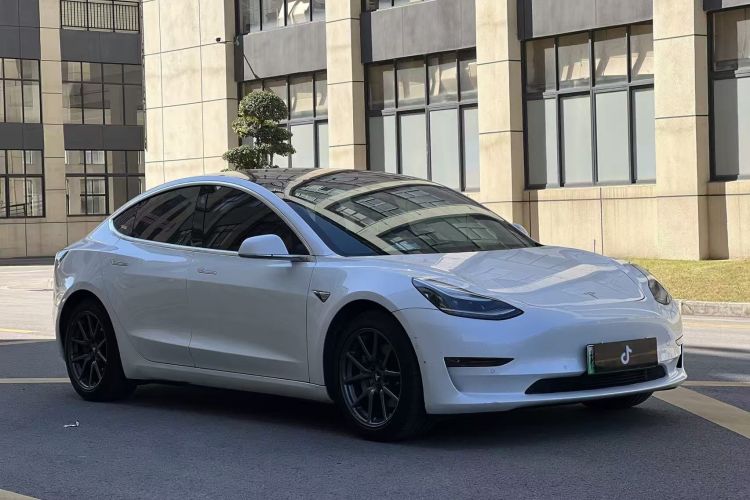 特斯拉 Model 3(进口) 2019款 长续航全轮驱动版车身外观3