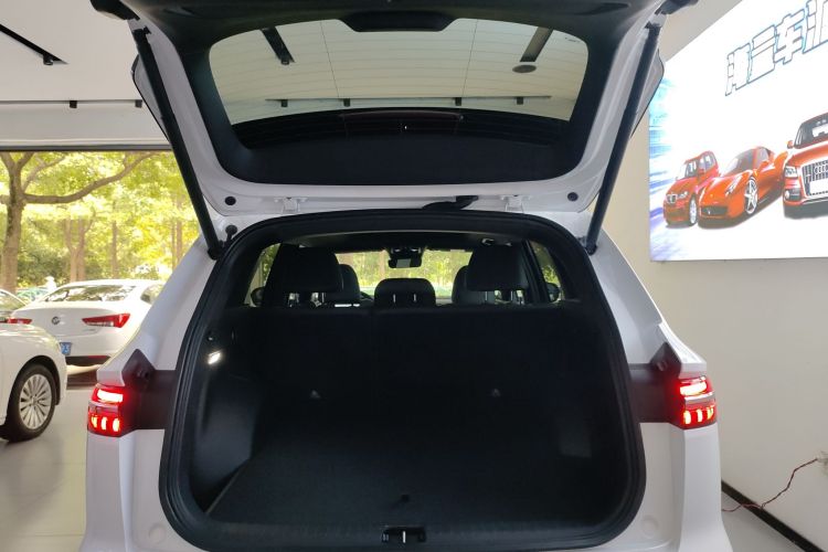 吉利汽车 星越L 2024款 2.0TD 高功自动两驱天际版局部细节23