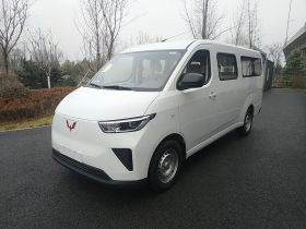 五菱汽车 五菱扬光 2024款 300KM 舒适型客车版 75kW