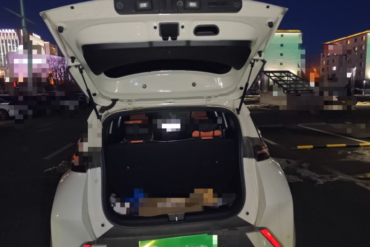 比亚迪 海鸥 2025款 305km 自由版中控内饰23