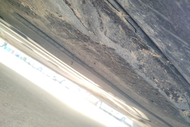 宝马5系 2019款 改款 525Li M运动套装局部细节9004