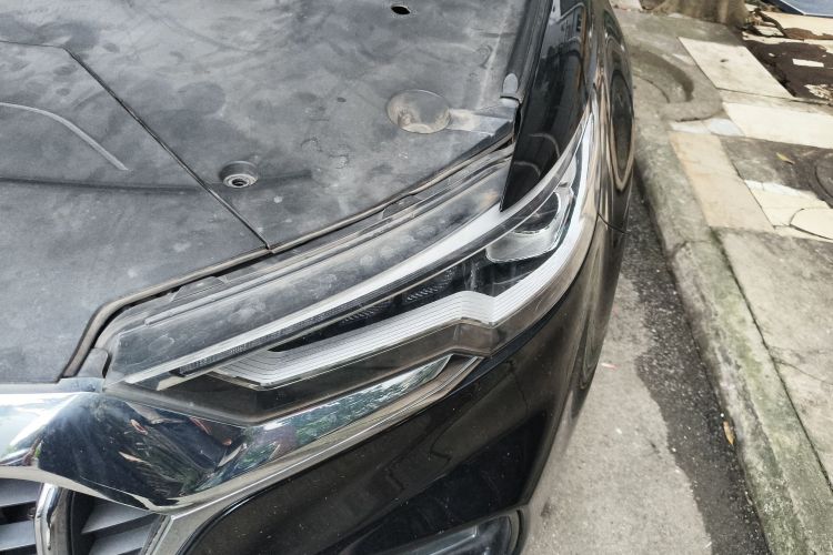 红旗HS5 2019款 2.0T 智联旗悦版局部细节9007