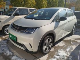 比亚迪 海豚 2025款 420km 自由版