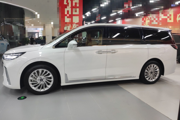 岚图汽车 岚图梦想家 2022款 低碳版 想+智驾包车身外观6003