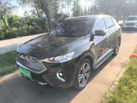 哈弗F7 2021款 2.0T 四驱i悦