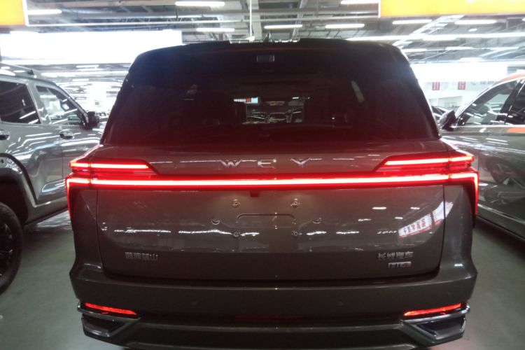 魏牌 蓝山 2025款 四驱 Max车身外观6