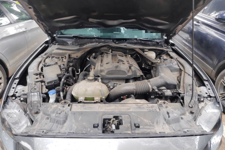 福特 Mustang 2021款 2.3T EcoBoost局部细节24