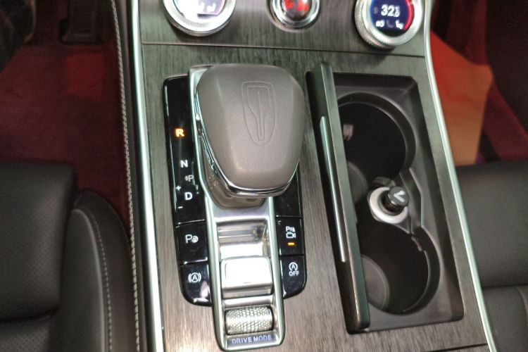 红旗H9 2022款 3.0T 智联旗领四座版局部细节18