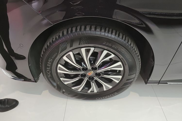 红旗HQ9 PHEV 2024款 2.0T 四驱豪华版车身外观6007