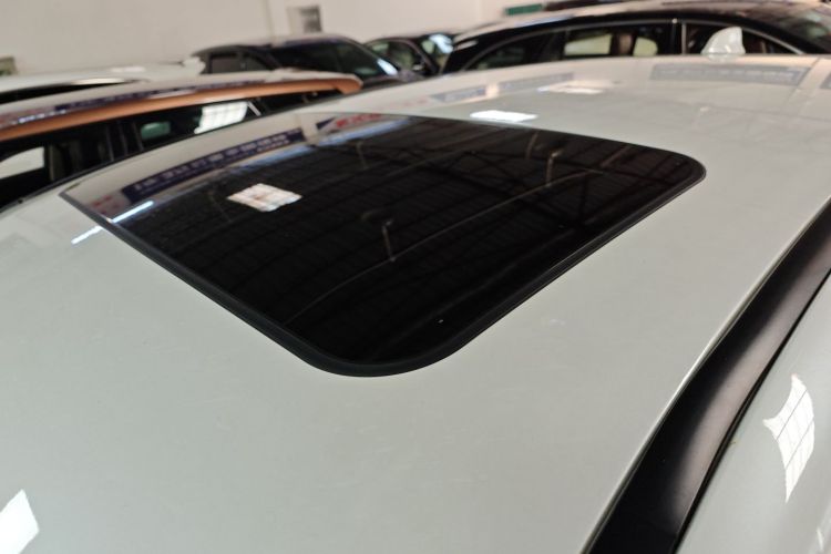 雷克萨斯RX 2023款 350h 两驱悦享版局部细节57