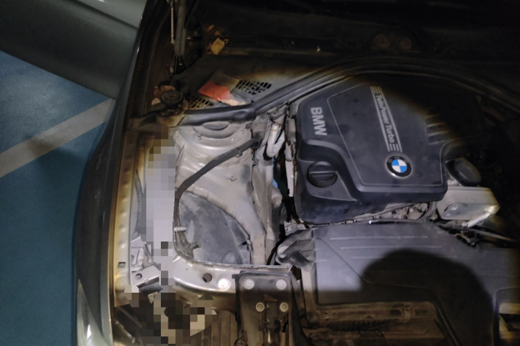 宝马3系 2014款 320Li 时尚型局部细节9006