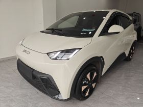 比亚迪 海鸥 2024款 荣耀版 305km 自由版