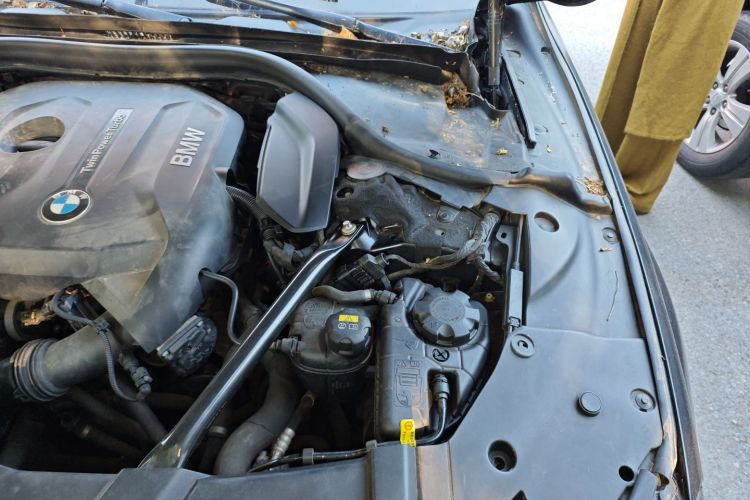 宝马7系 2018款 730Li 领先型 M运动套装局部细节9007