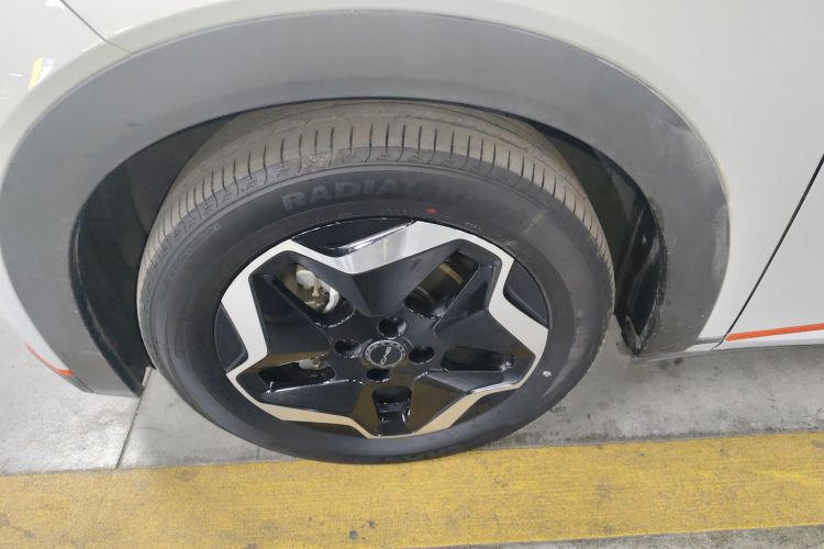 比亚迪 海豚 2021款 405km 自由版车身外观6007