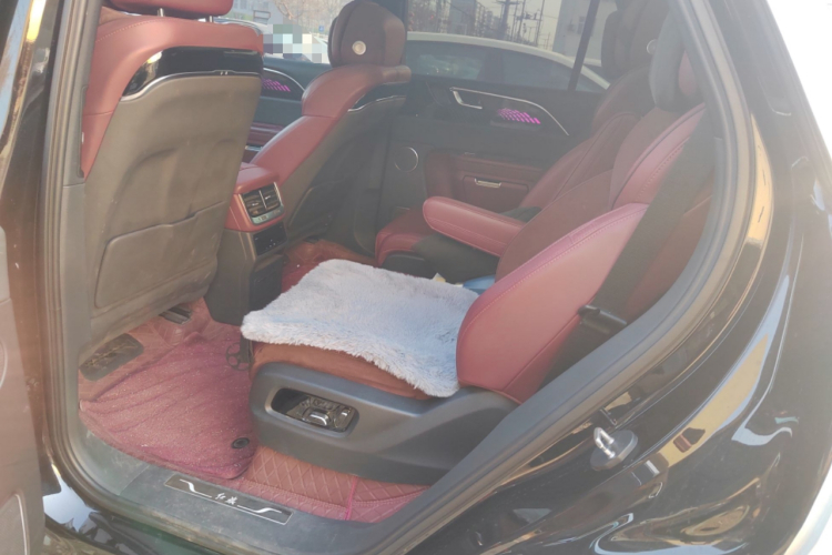 红旗E-HS9 2021款 460km 旗享版 六座中控内饰21