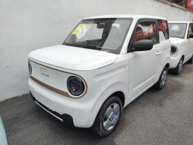 吉利银河 2024款 熊猫mini 200km 耐力熊