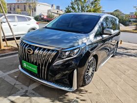 广汽传祺 传祺M8 2021款 大师系列 390T 四座御尊版