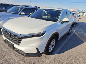 本田CR-V 2023款 240TURBO 两驱智领版 5座