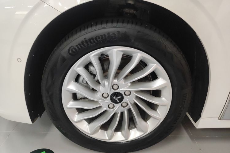 岚图汽车 岚图梦想家 2022款 低碳版 想+智驾包车身外观6007