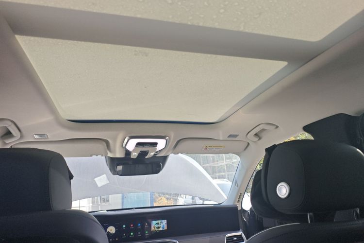 红旗E-HS9 2021款 460km 旗享版 六座中控内饰22