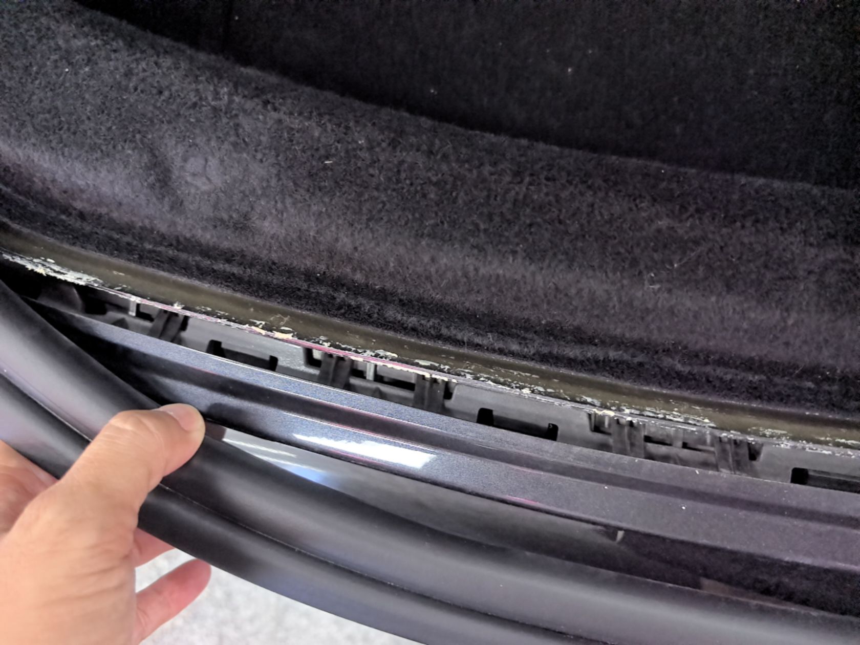 Tesla Model 3 (Domestic)