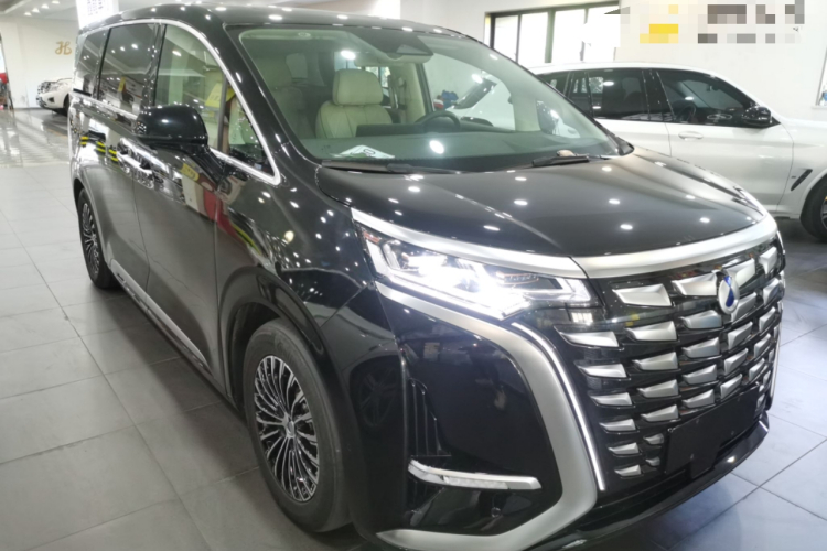 腾势D9 2024款 DM-i 980 四驱旗舰型车身外观6002