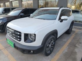 哈弗大狗 2022款 1.5T DCT两驱边牧版