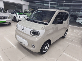 五菱汽车 宏光MINIEV 2024款 第三代 215km 青春版