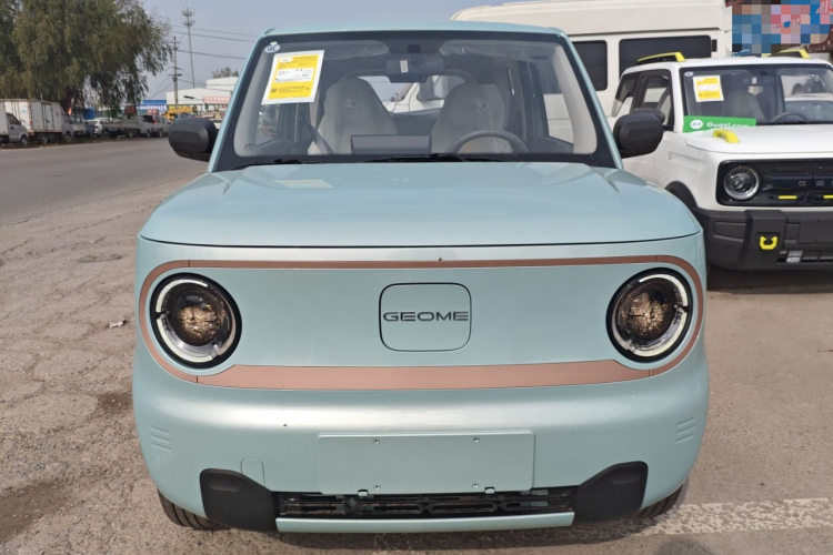 吉利银河 2024款 熊猫mini 200km 耐力熊车身外观6001