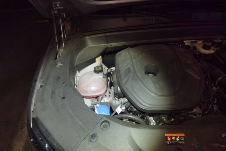 吉利汽车 星越L 2025款 东方曜 2.0TD 自动揽星版局部细节9006