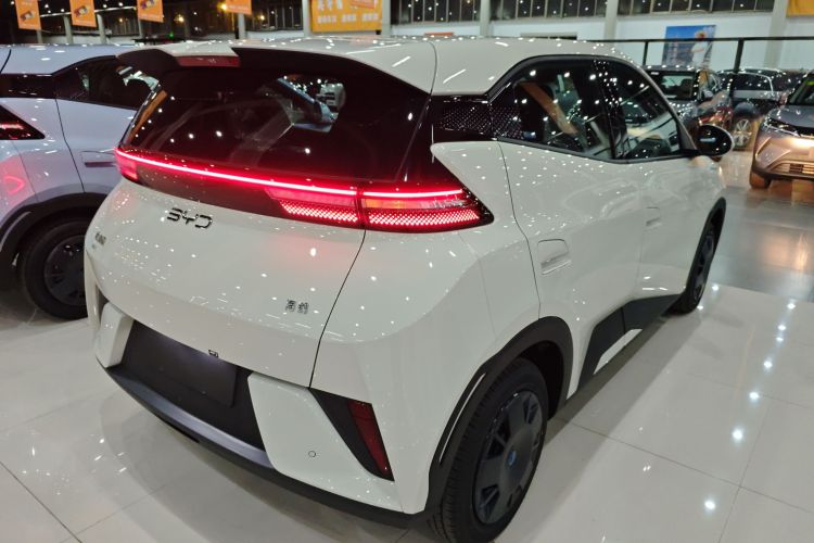 比亚迪 海鸥 2025款 智驾版 305km 活力版车身外观6005