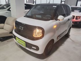 奔腾小马 2025款 222km 闪电马