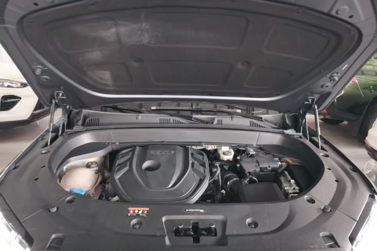 吉利汽车 星越L 2021款 2.0TD DCT EVO两驱尊贵型机舱底盘24