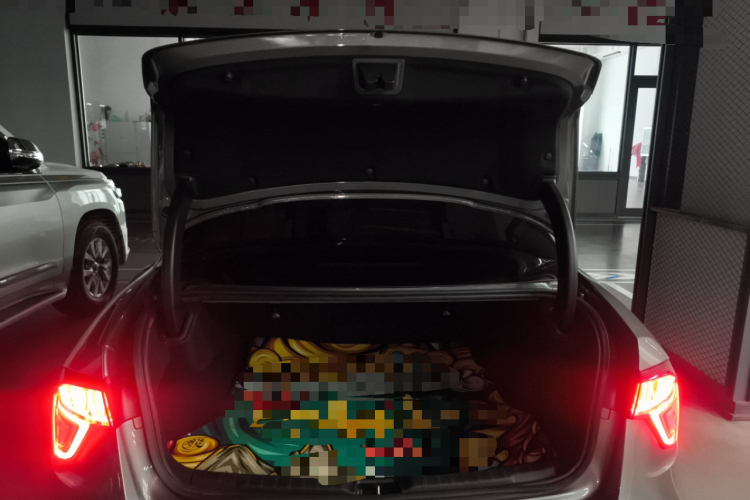 领克03 2021款 2.0TD 自动劲 冠军版机舱底盘23